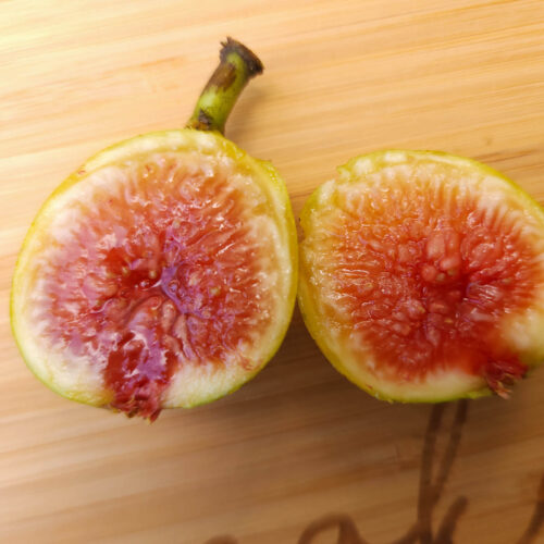 Chico Strawberry fig (1 gal.)