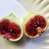 smith fig