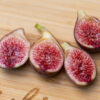 Dr. Monticello fig (2nd yr tree) - Image 5