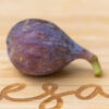 Dr. Monticello fig (2nd yr tree) - Image 4