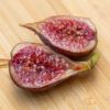 Dr. Monticello fig (2nd yr tree) - Image 2