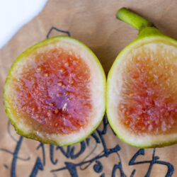 Earleville Mystery White UNK