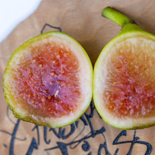 Earleville Mystery White UNK