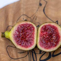 Martinenca Rimada Reverted