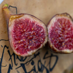 Michael Grace Mystery UNK