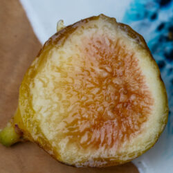 Robert's Golden Rainbow