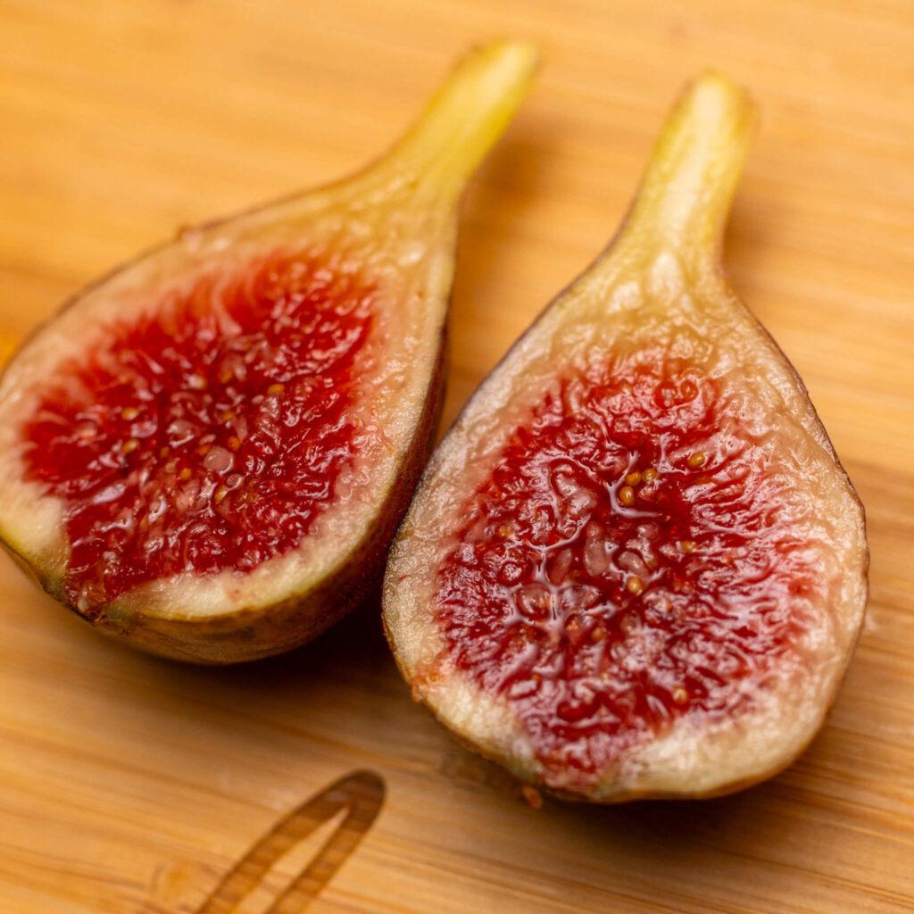 Rossellino (Tree)