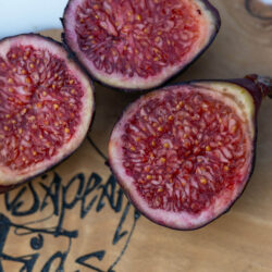 Violette de Bordeaux