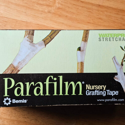 1 Parafilm Roll (.5in x 90ft) - Image 2