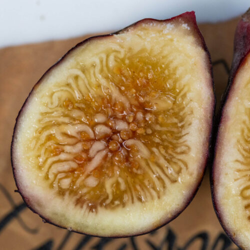 Figs Flowers - Image 2