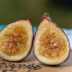 Figs Flowers
