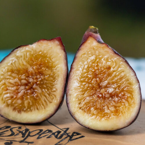 Figs Flowers