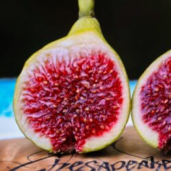 Paradiso Giovani