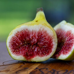 Tia Penya Fig