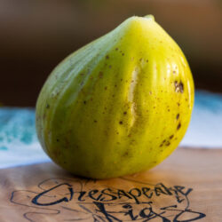 Boysenberry Blush – Chesapeake Figs