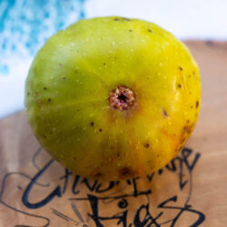 3945①Boysenberry Blush 接木苗 Boysenberry Blush – Chesapeake Figs