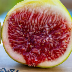 Boysenberry Blush – Chesapeake Figs