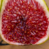 Boysenberry Blush – Chesapeake Figs