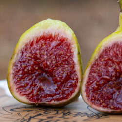 3945①Boysenberry Blush 接木苗 Boysenberry Blush – Chesapeake Figs