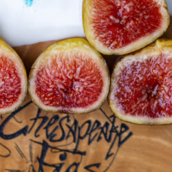 Forastera De Can Reviu