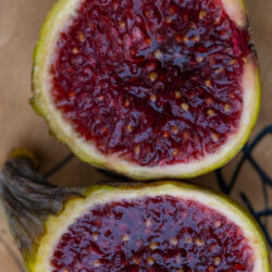 Paratjal Rimada Reverted